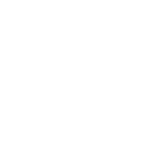 Tournus canoë  – LOCATION DE CANOË ET VÉLO À TOURNUS À 1H DE LYON A 1 heure de Lyon, 20 minutes de Mâcon et Chalon, balades en canoë et à vélo au cœur de la Bourgogne!